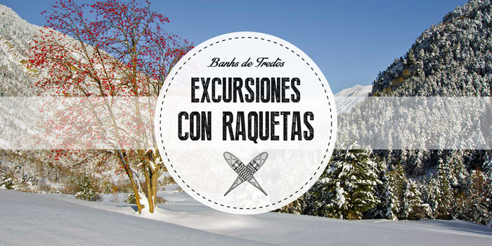 Excursión en moto de nieve y comida en restaurante