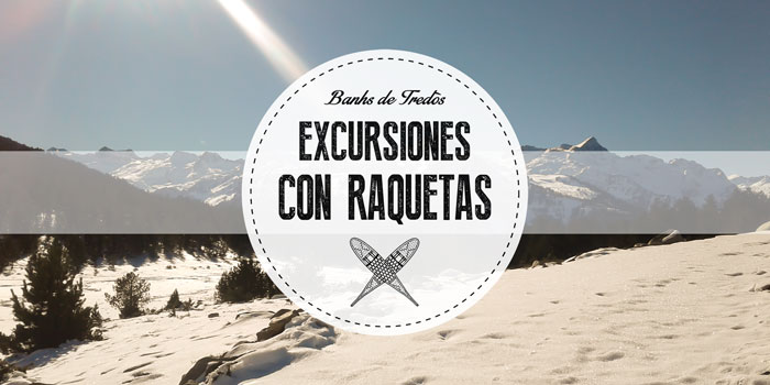 Excursión en moto de nieve y comida en restaurante