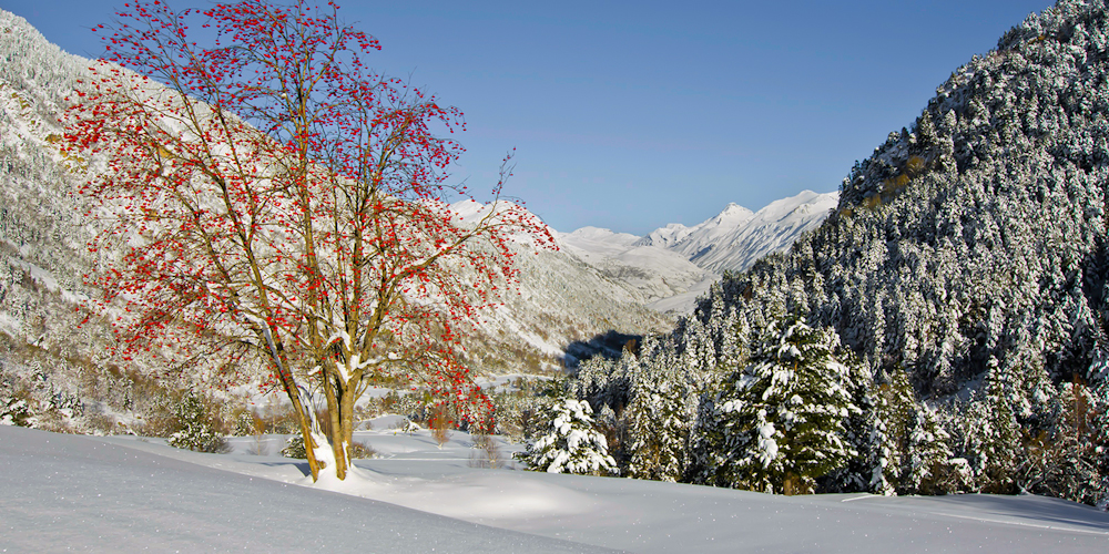 Passeggiata con racchette da neve nella Valle d'Aiguamog