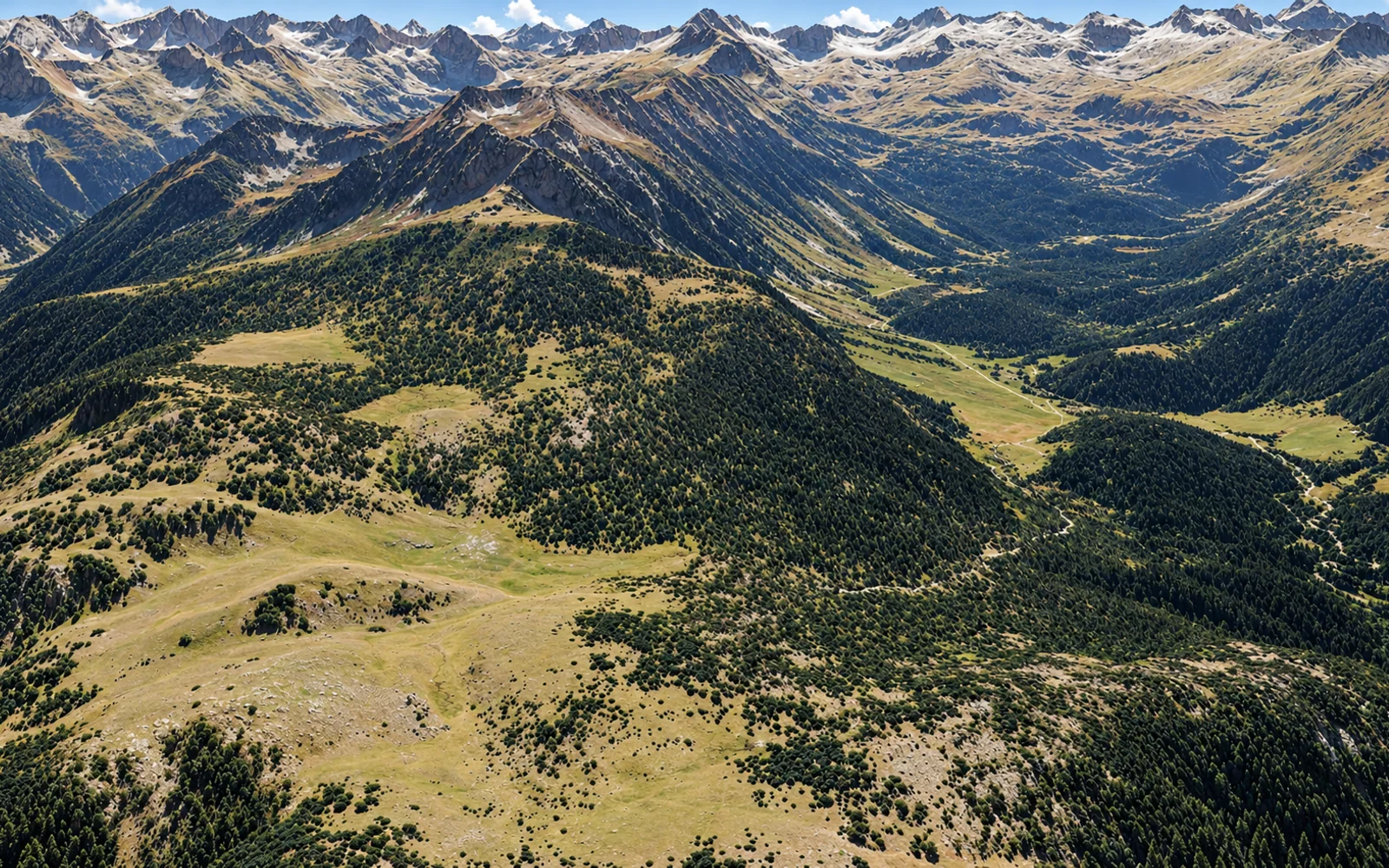 Vista aérea ilustrada de Bosque de Porera, con 4 puntos señalados
