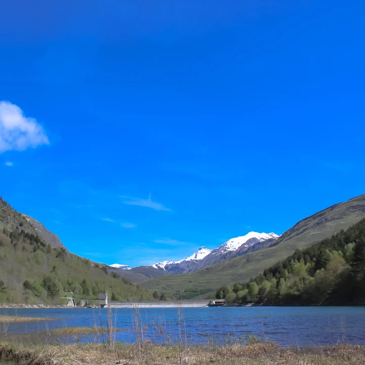 Lago bajo un cielo azul, con montañas y bosque al fondo