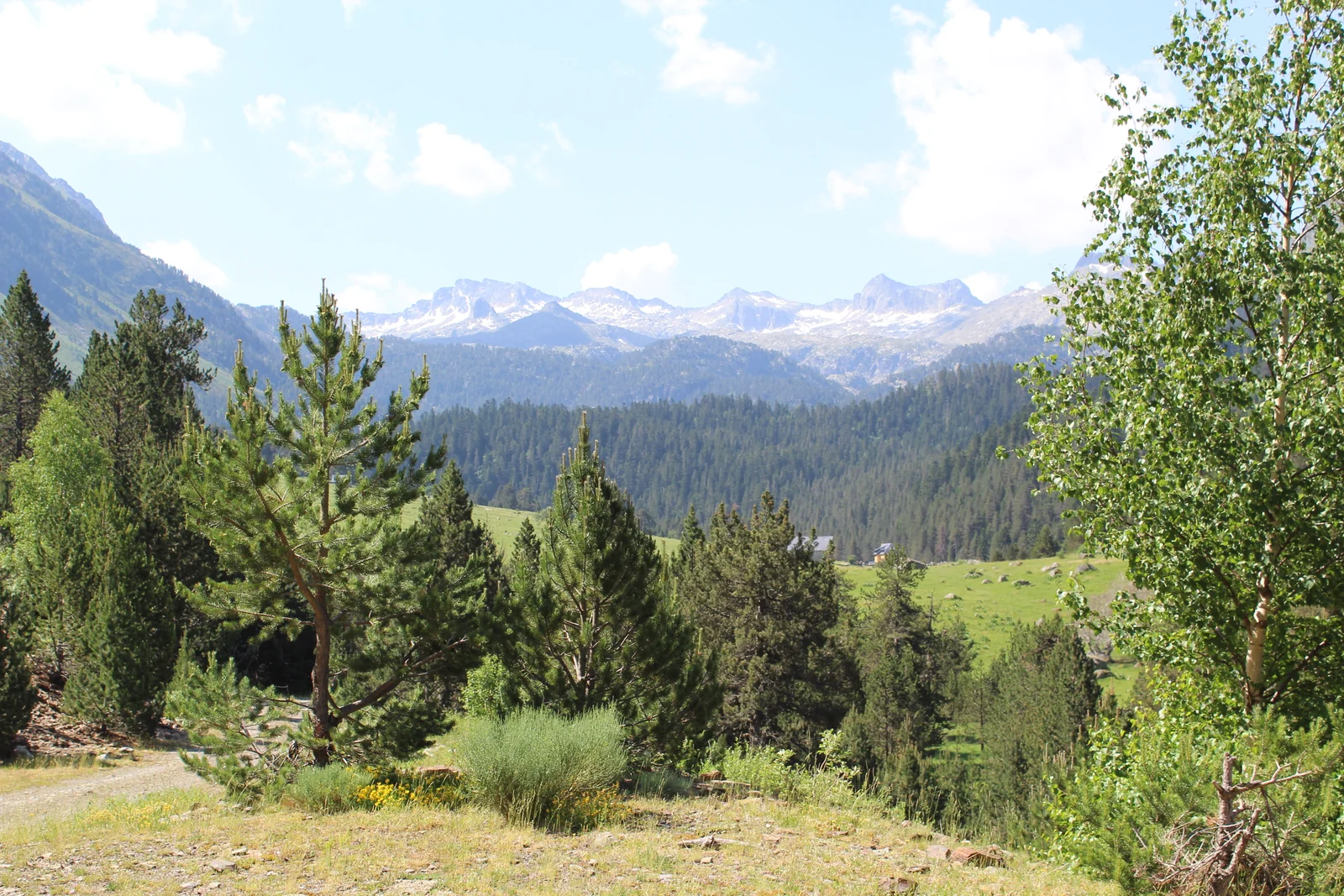 Vistas hacia Colomèrs entre árboles desde el camino de subida a Porera