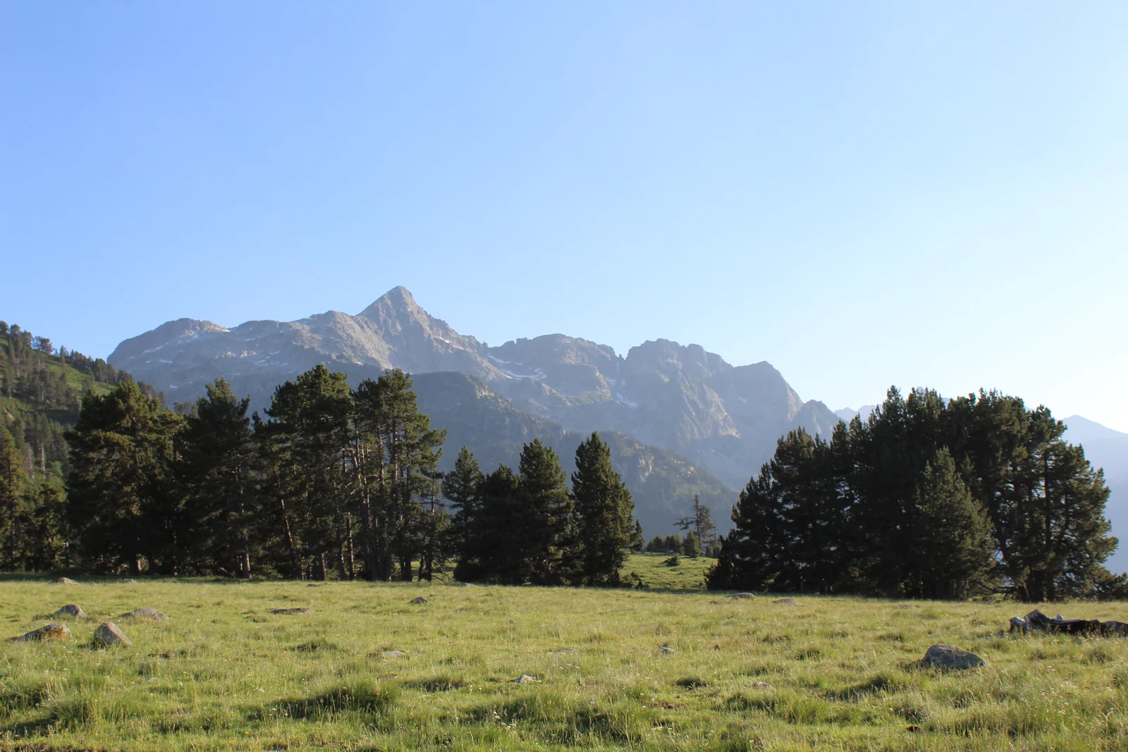 Pradera y pinos ante las cumbres vistos desde el mirador de Valarties