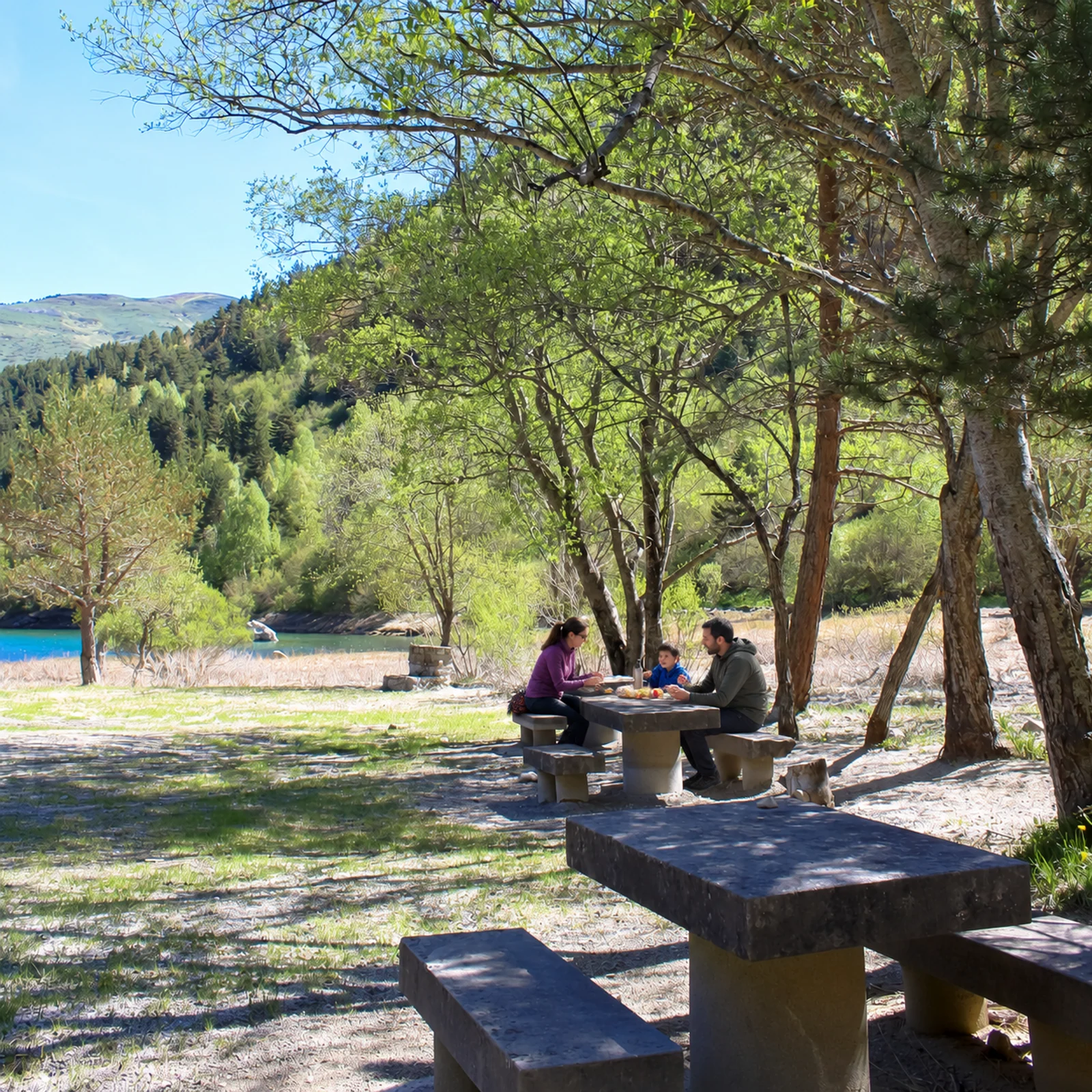 Familia disfrutando de un picnic en una mesa entre árboles junto al agua