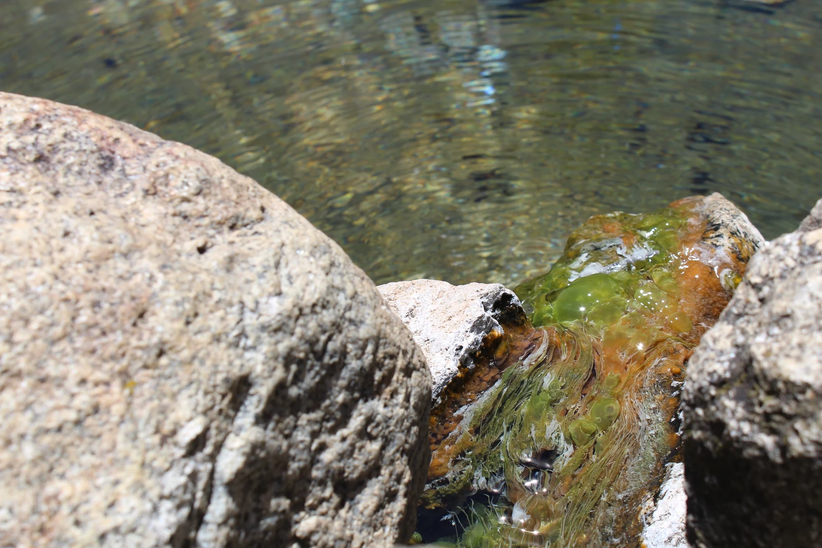 Agua entre rocas en Banhs de Tredòs